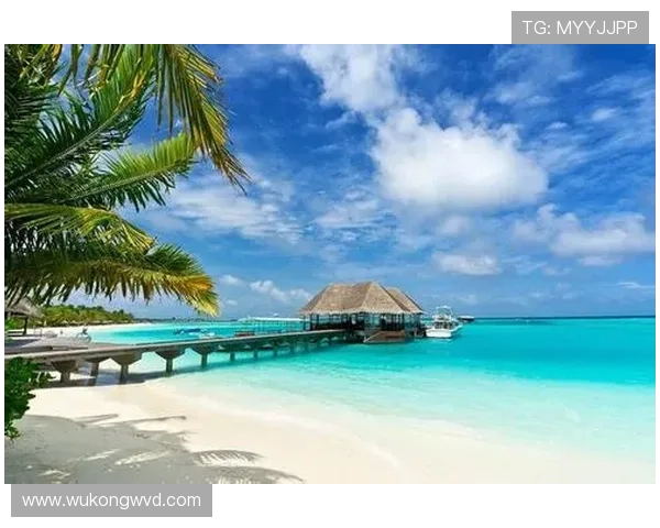 洛赫特那张脸，泳池边却像明星后花园，谁还在意比赛啊？