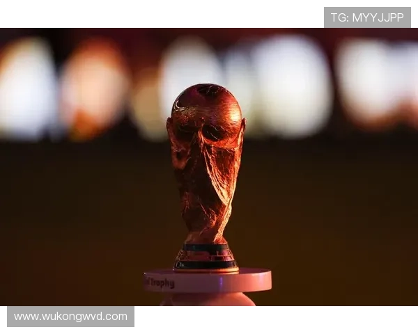 2026世界杯完整版顺位规则解析