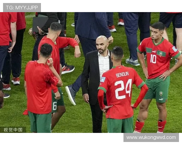 摩洛哥能否延续黑马传奇 2026世界杯非洲之光再突围